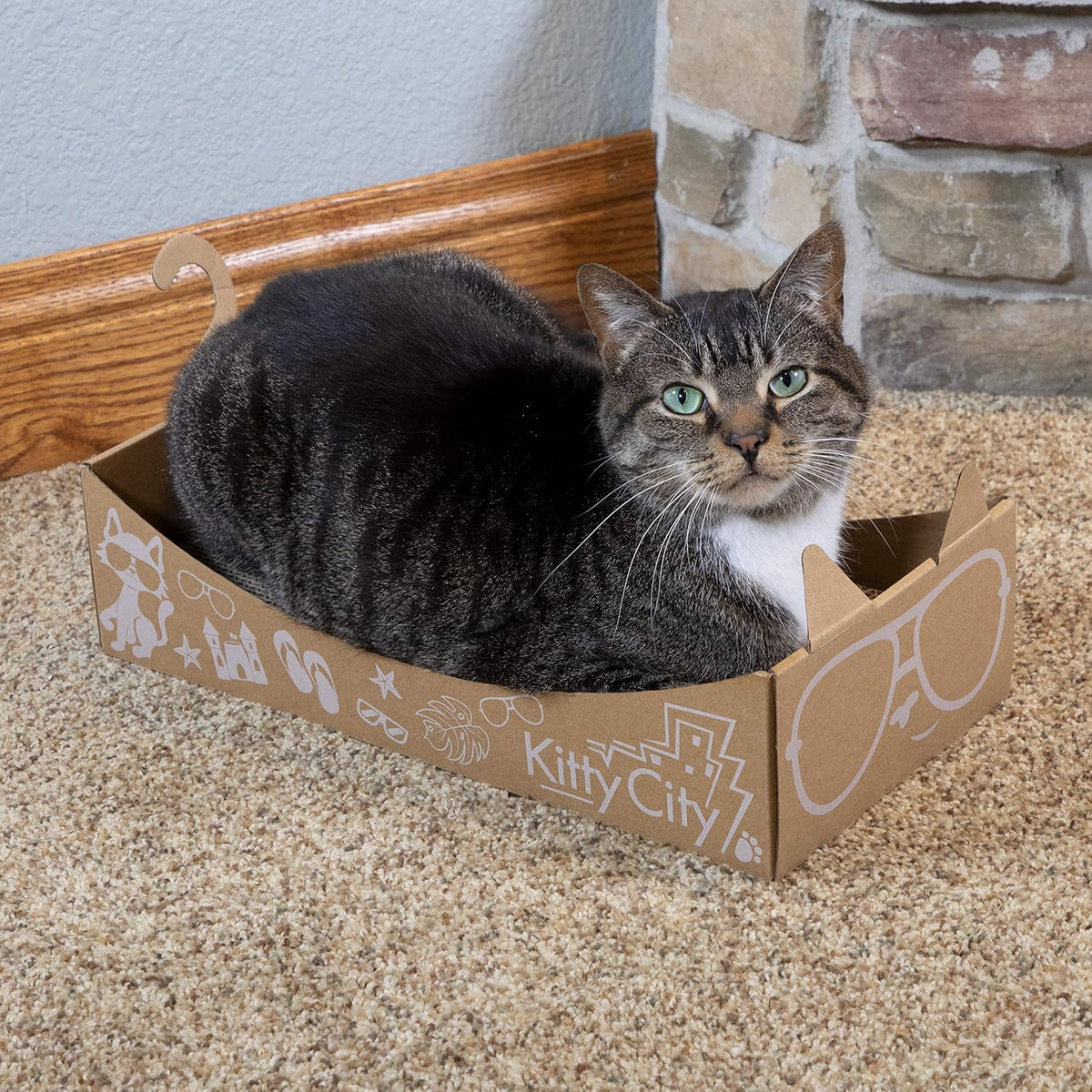 Deluxe Cat Toy Box, Brown