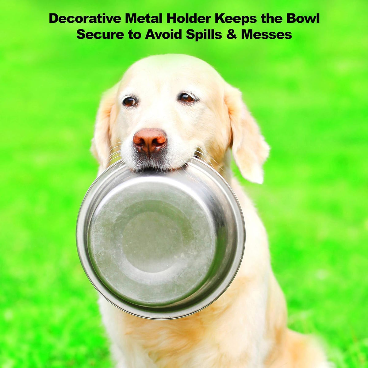 Set of 2 Stainless Steel Dog Bowls - 40Oz Pet Bowls with Decorative Dog Food Stand - Metal Food and Water Dishes for Large Pets - Puppy Essentials by (Silver/Black)