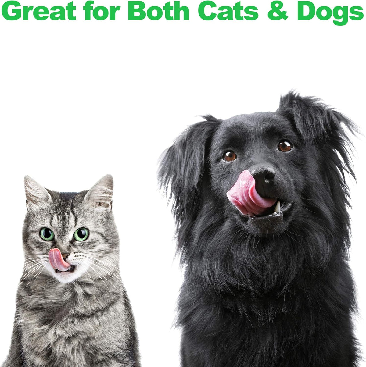 Set of 2 Stainless Steel Dog Bowls - 40Oz Pet Bowls with Decorative Dog Food Stand - Metal Food and Water Dishes for Large Pets - Puppy Essentials by (Silver/Black)