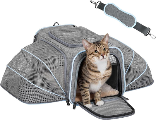Small Double Expandable Cat Carrier for Kittens and Air Travel