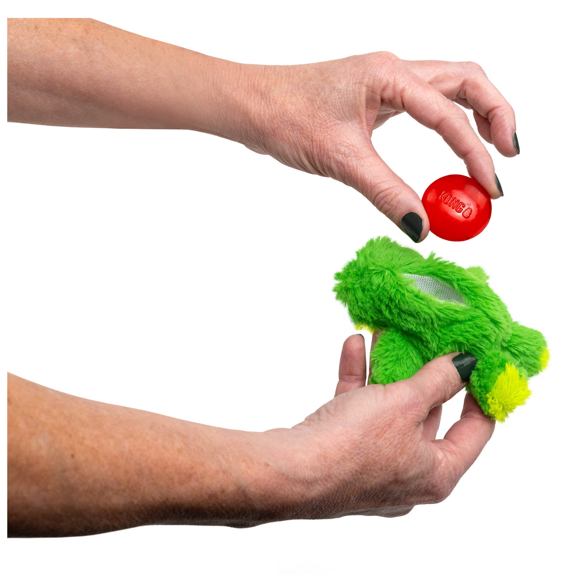 ® Dr.Noyz Dog Toy with Squeaker, Frog, XS for Dogs up to 5 Lbs